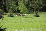 img_1585-1