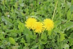 img_1591-1
